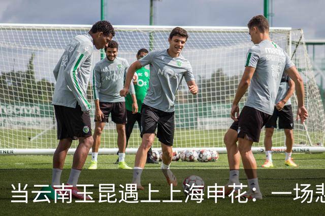 当云南玉昆遇上上海申花：一场悲剧的“七连击