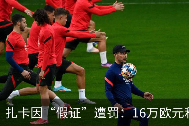 扎卡因“假证”遭罚：16万欧元和两年缓刑的“足球戏码